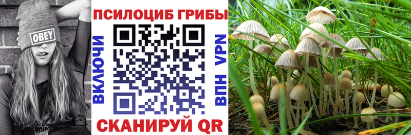 Псилоцибиновые грибы MAGIC MUSHROOMS  Купить  Лесосибирск 